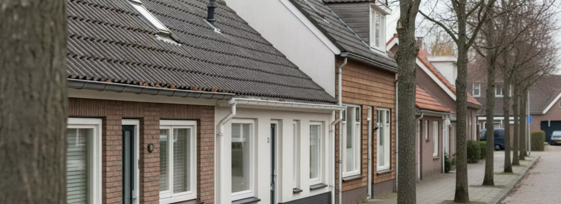 Welke keuze past bij jouw woning wanneer dakgootcontrole nodig is. Wat houdt dakgootcontrole precies in?