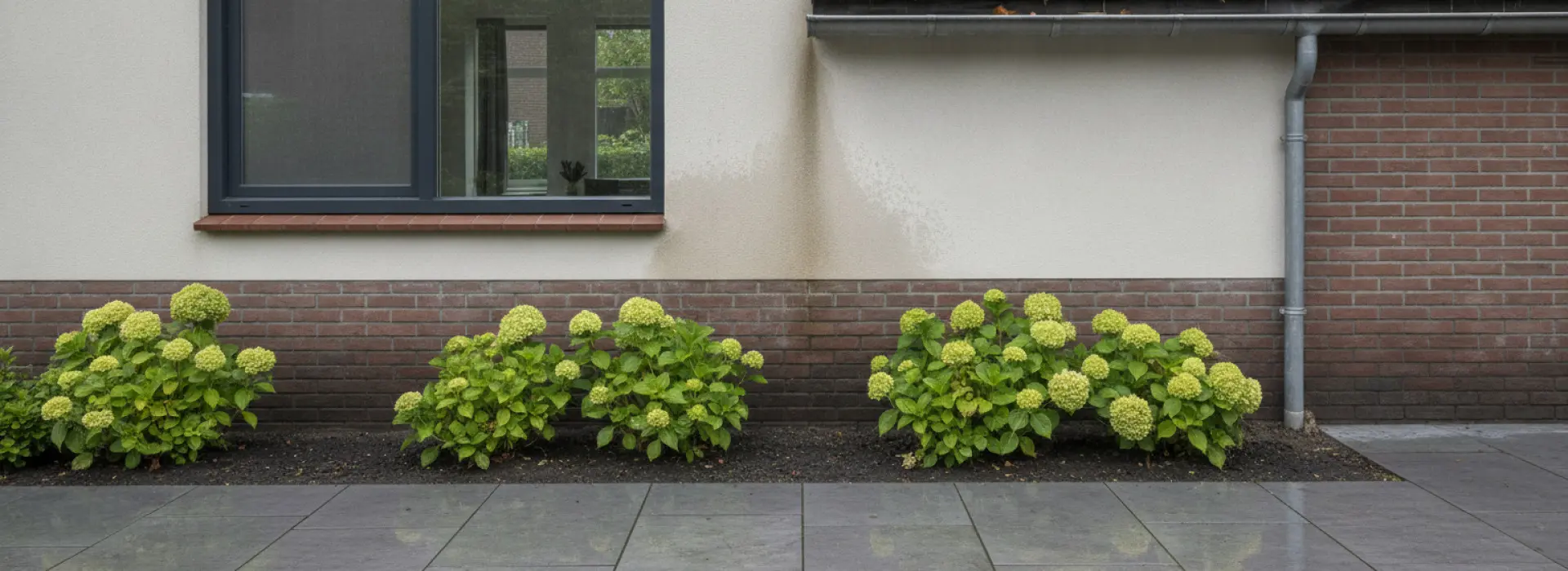 Dakaansluitingen Je kent het vast: na een flinke regenbui zie je ineens vochtplekken langs de muur of het kozijn. Het geeft een onrustig gevoel, want je vraagt je direct af of…