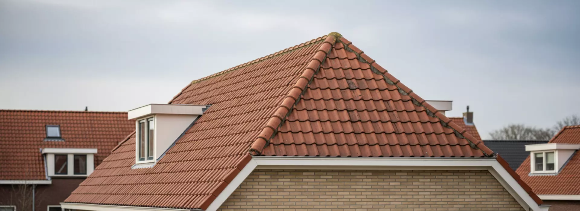 Wat betekent een dakcontrole van nok tot dakvoet bij veel wind?