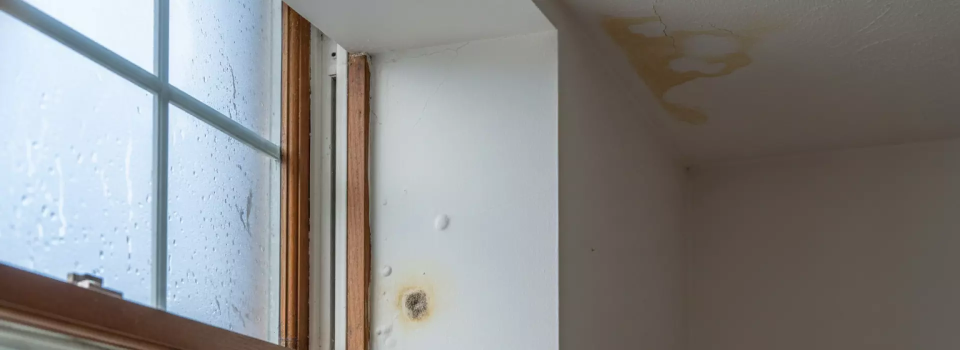 Wat is condens en verborgen lekkage in huis?