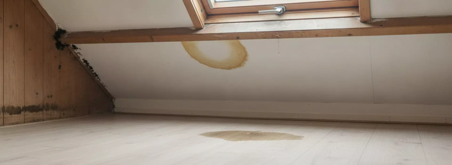 Symptomen van een lekkend dak in huis