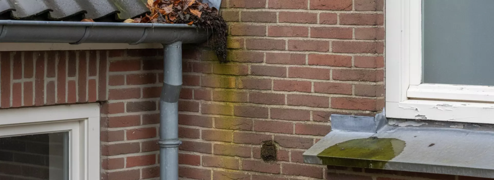Zo herken je verkleuring en vuilophoping voordat gemiste lekkage binnen schade geeft.