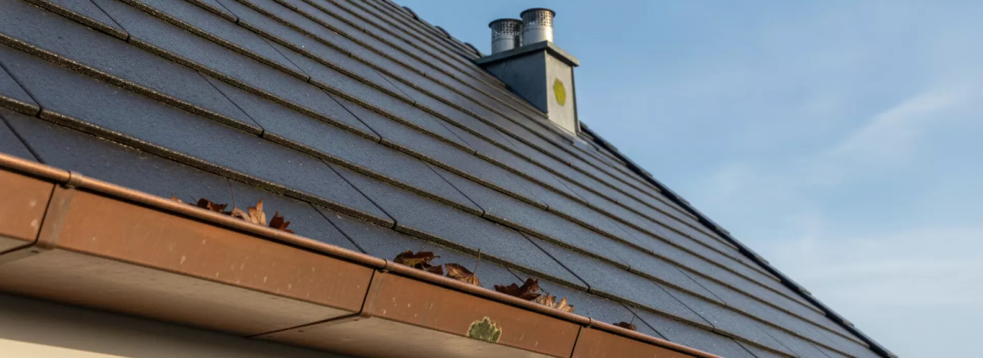 5 tips waarmee je schimmelgroei beperkt na koude nachten of regen.