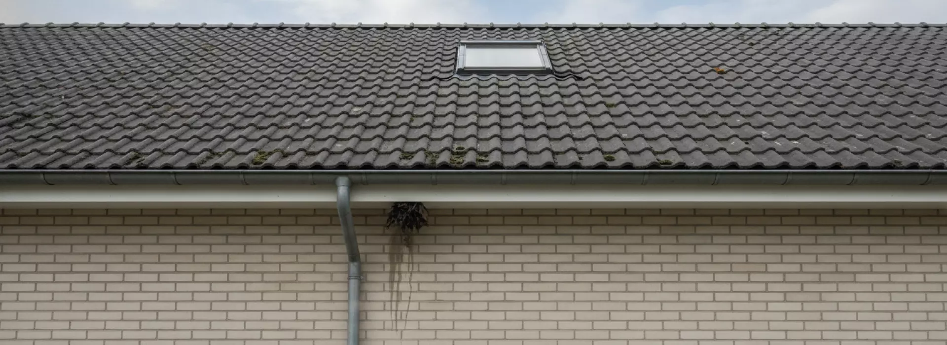 Stappenplan waarmee je inspectiepunten verzamelen uitvoert als je verkleuring en vuilophoping ziet.