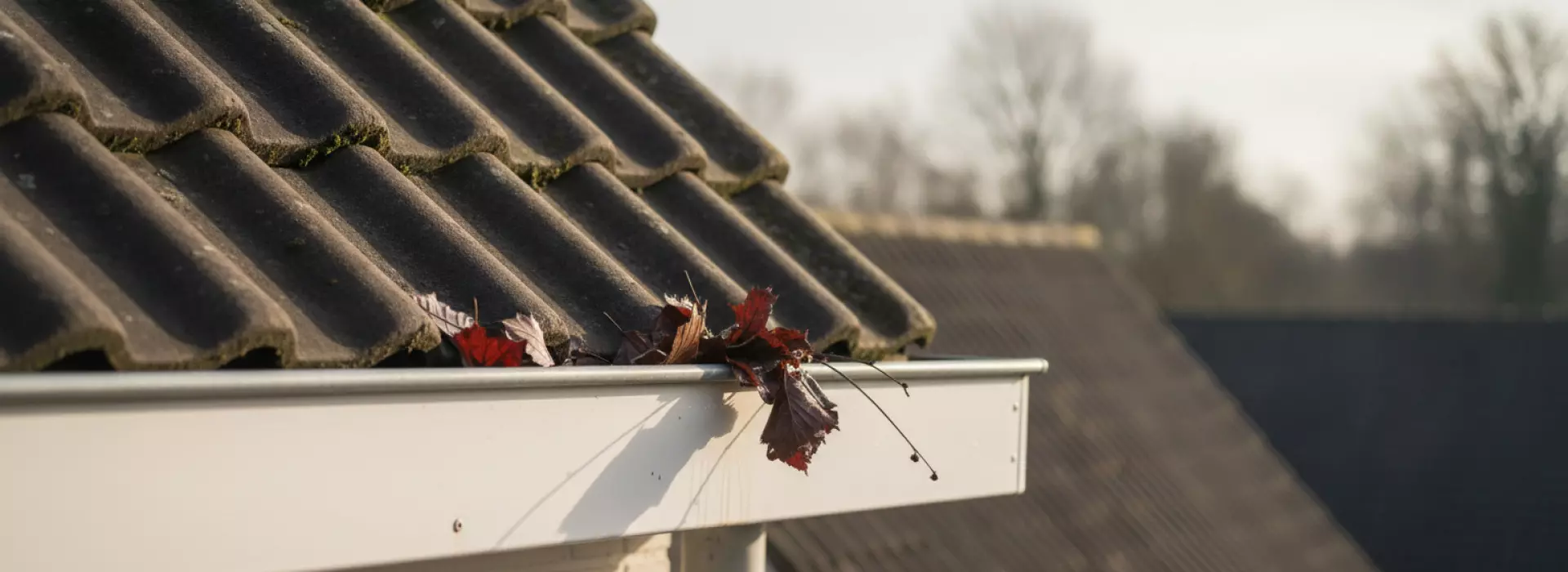 Hoe controleer je dakbedekking, goten en randen na najaar of winter in je eigen planning?