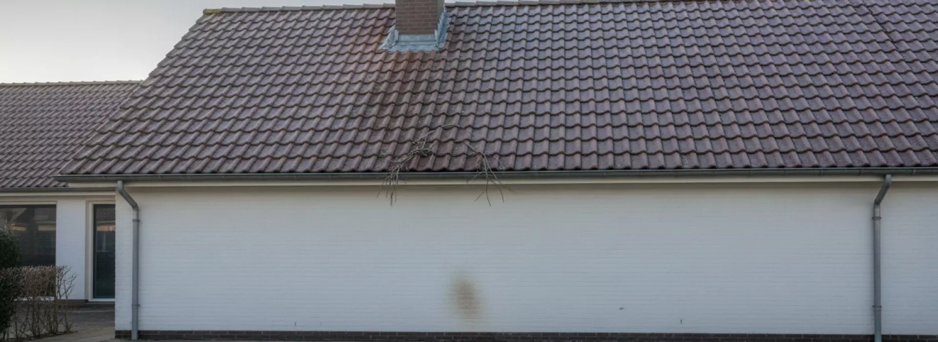 5 tips waarmee je nieuwe lekkage beperkt na vorst of harde wind.