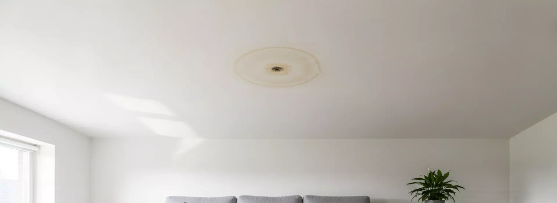 Praktijkvoorbeeld dat je helpt bij vochtplek op het plafond door daklekkage.