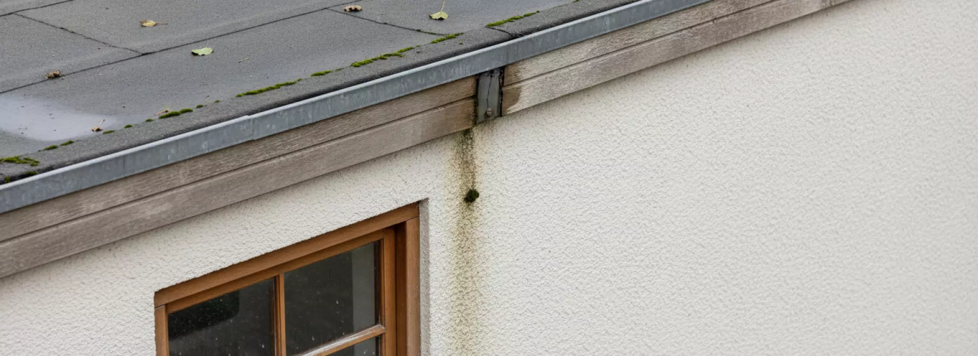 Wat is vocht langs muur of kozijn door lekkage bij aansluiting