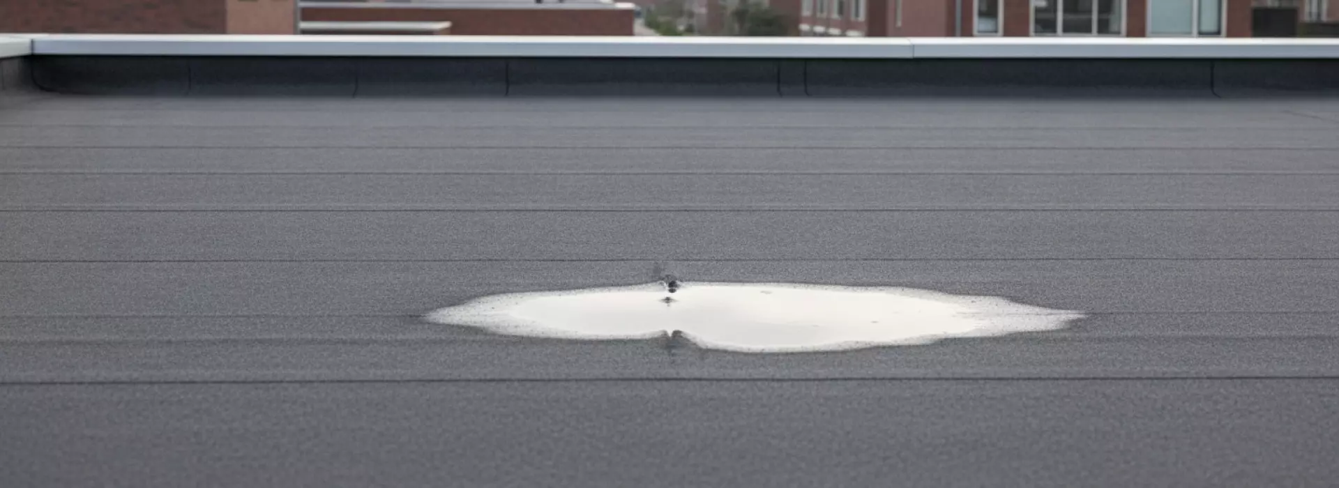 Wat is bitumen en waarom is het zo belangrijk bij waterschade?